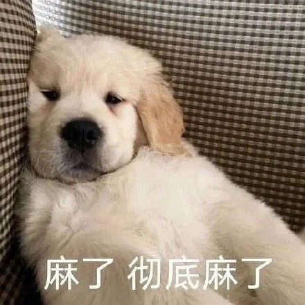 留學(xué)生10大最難學(xué)專(zhuān)業(yè)，金融竟然是最后一名？