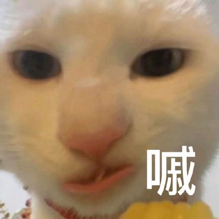 留學(xué)生10大最難學(xué)專(zhuān)業(yè)，金融竟然是最后一名？