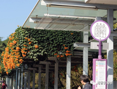 1個(gè)月倒計(jì)時(shí)！香港八大23Fall 3月截止申請(qǐng)的專業(yè)有哪些？